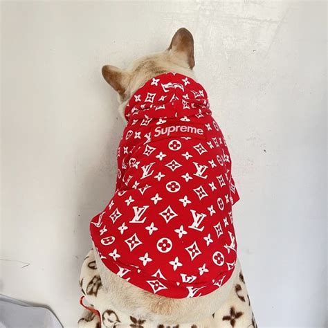 louis vuitton dog hoodie red|Louis Vuitton hoodie monogram.